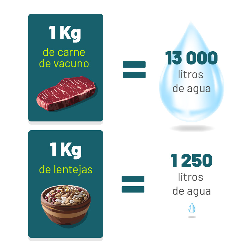 Beef Pulse Water Infographic